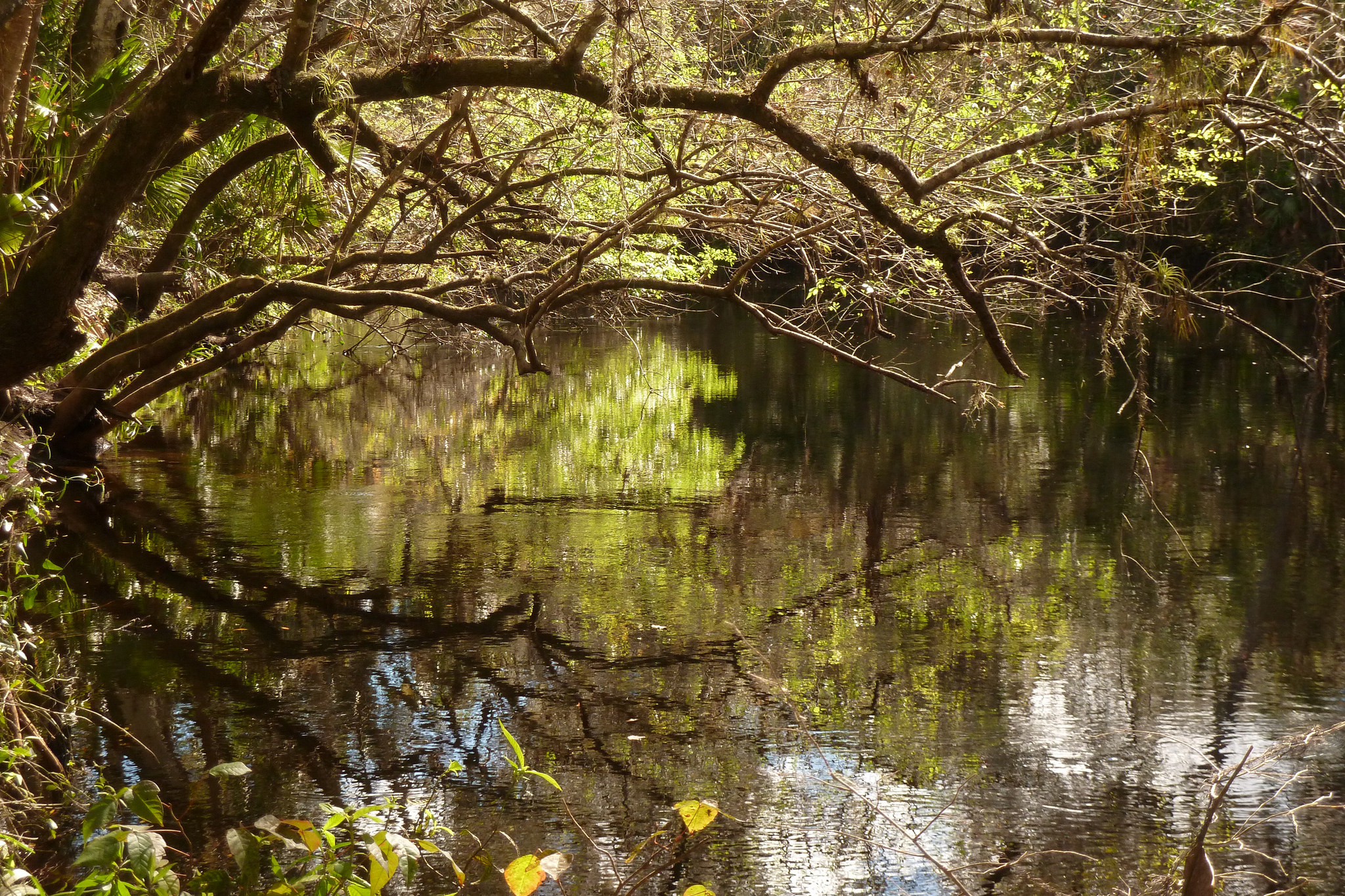 4 Parks and Preserves in Tampa Bay You Need to Visit